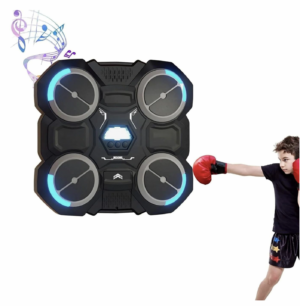 MUSICAL BOXING TARGET